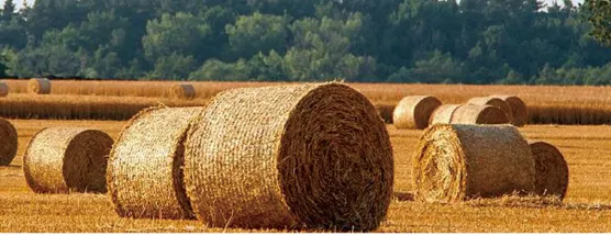 straw-balers-9YG-1.0 Round baler-for-show